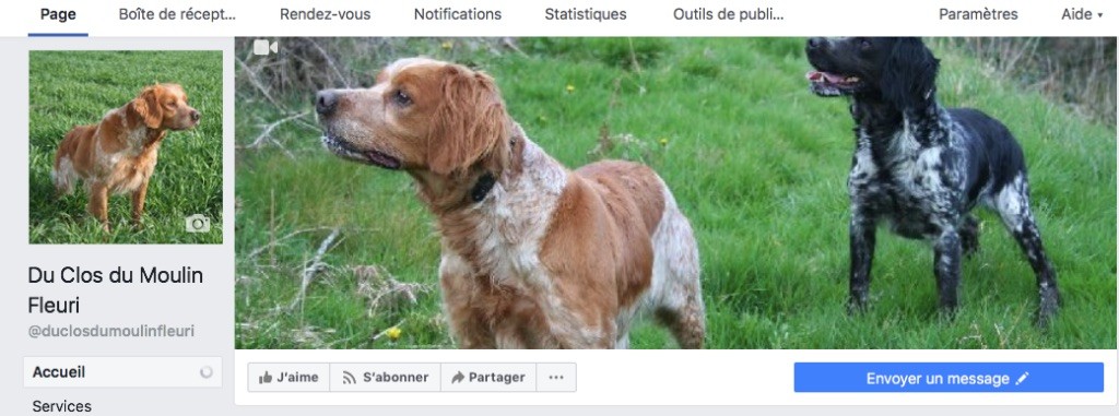 Du Clos Du Moulin Fleuri - Page Facebook disponible